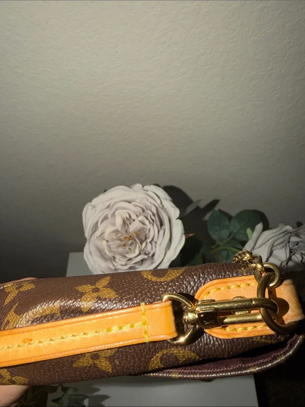 Louis Vuitton classic hard